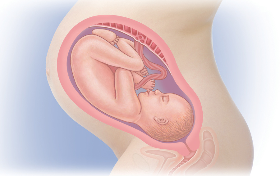 Le Troisieme Trimestre Hirslanden Baby