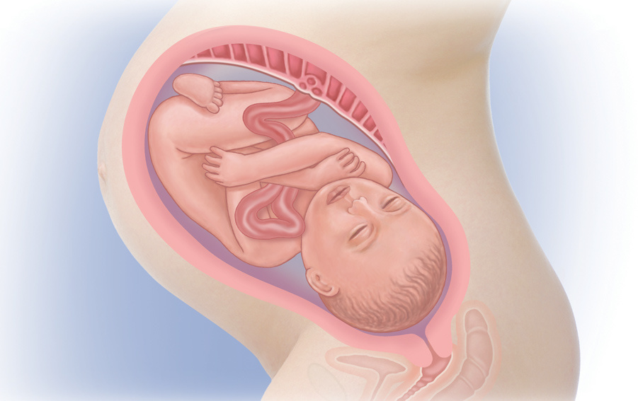 Роды 39 недели беременности форум. Малыш на 39 неделе беременности. Ребёнок на 38 неделе беременности.