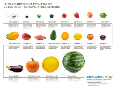 Votre bébé a la taille de ce fruit...