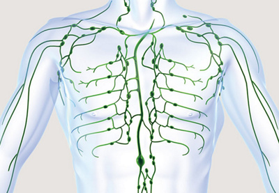 hrislanden-lymphgefaesserkrankungen-1