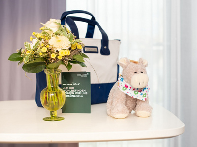 Ernest und Wickeltasche