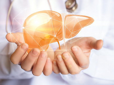 Wie viel Leber braucht der Mensch?