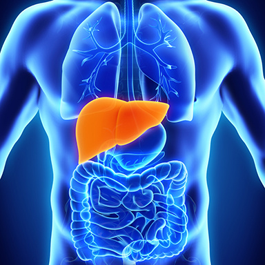 klinik-beausite-leber