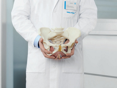 Arzt hält Beckenbodenmodell vor sich