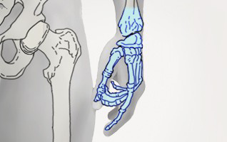 orthopaedie-zentrum-zuerich-hand-handgelenk