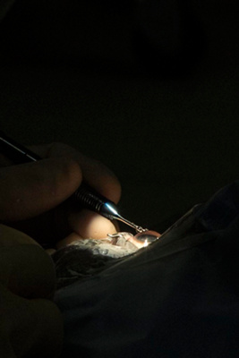 private partnership2