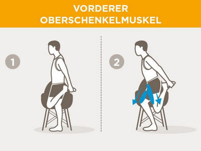 vorderer-oberschenkelmuskel