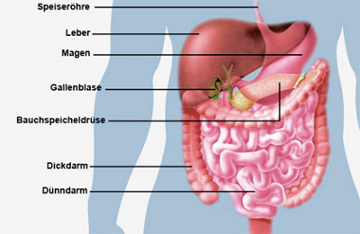 was-macht-die-leber-krank-1